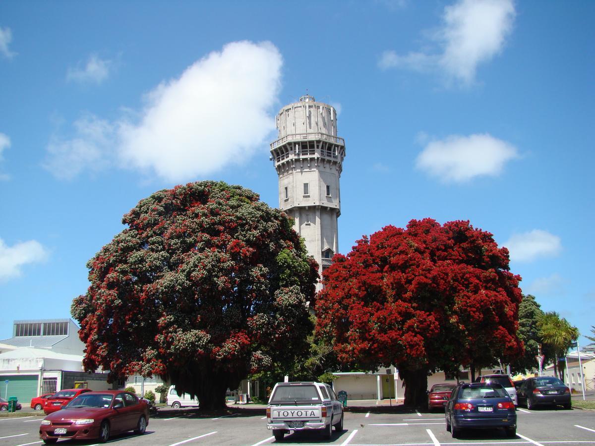 Kiwi Court Motel Hawera Esterno foto